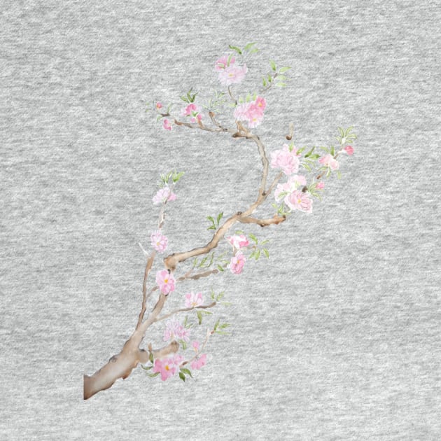 pink peach flowers blossom by colorandcolor